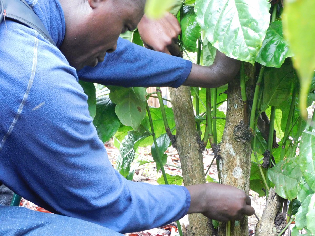 JKCC GENERAL SUPPLIES LTD tweet media