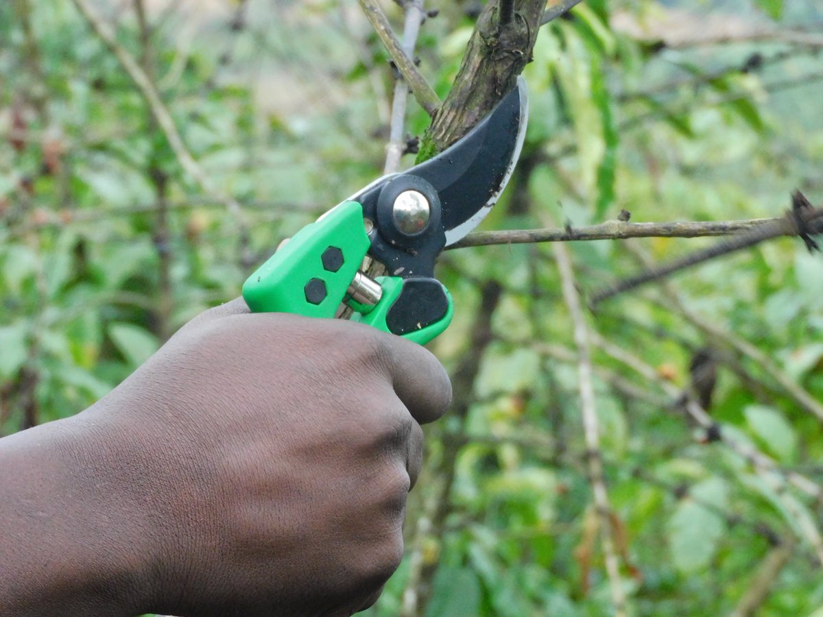 JKCC GENERAL SUPPLIES LTD tweet media