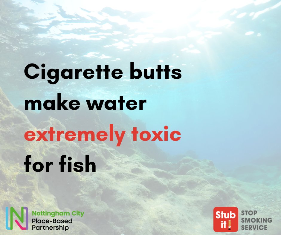 NCGPANottm's tweet photo. According to studies, just one cigarette butt per litre of water is highly toxic to fish and other animals.  
 
Look after the planet &amp; your health by stopping smoking - if you live in Nottm city you can get help with Stub It!  
 https://t.co/f4KHNFe33C  
 
#Stoptober #Stubit22 https://t.co/8GnW61nrKP