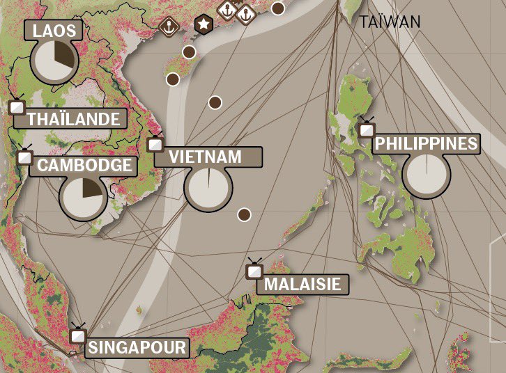For the next page géopo with <a href="/LM_enCartes/">Le Monde en cartes</a> we will take you in the jungle of South-Eastern Asia. Coming up tomorrow! 🌏Try and find the bird of paradise amazingly sketched by @audreylagadec4 🦜