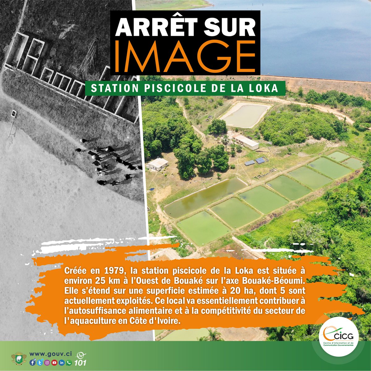 Gouvciofficiel's tweet photo. #ArrêtSurImage | Station piscicole de la Loka : Un maillon essentiel dans la stratégie de développement de l’aquaculture en Côte d'Ivoire

En savoir plus ➡️ https://t.co/nzqJQteKvT

#CICG #GouvCI https://t.co/klq4idHku5