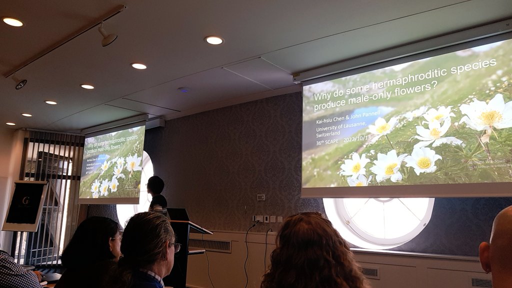 SCAPE_Poll_Ecol's tweet photo. Why do some hermaprhoditic species produce male-only flowers? @kaihsiu_chen will give us the answer soon! #SCAPE2022 https://t.co/W1Hw97EeRl