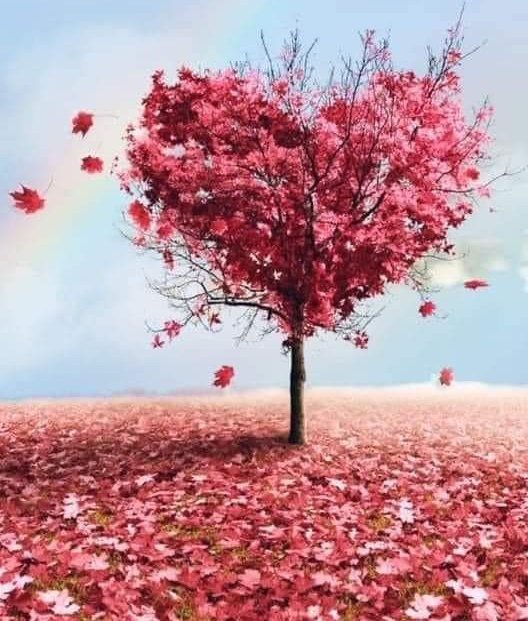 ruben_corella's tweet photo. #tree #pink #pinklife #pinkpower #lavieenrose #rosa #atbol.#nature #photo #amazing #tt #beautiful #belleza #fallingleaves #otoño #love #photooftheday #goodweekend #gorgeous #Naturaleza #wonderworld https://t.co/bOlFgk5F1v