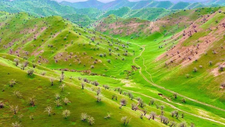 lylasafy's tweet photo. تير  ژوند مه هيره وه، راتلونكی به دې رو ښانه وي ان شاءالله. https://t.co/Orcp9k3xXN