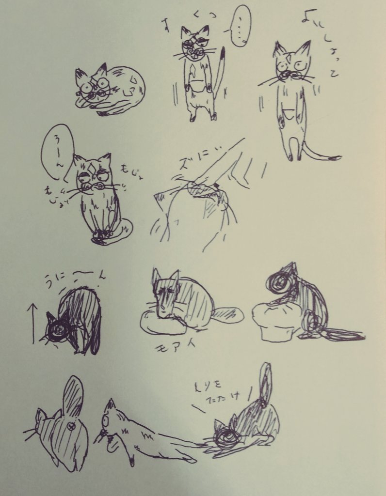 #猫の居る暮らし 
