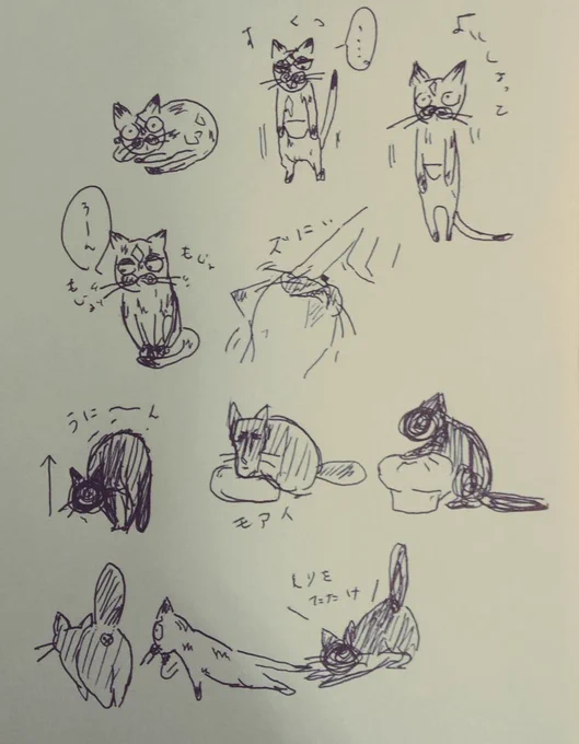 #猫の居る暮らし 