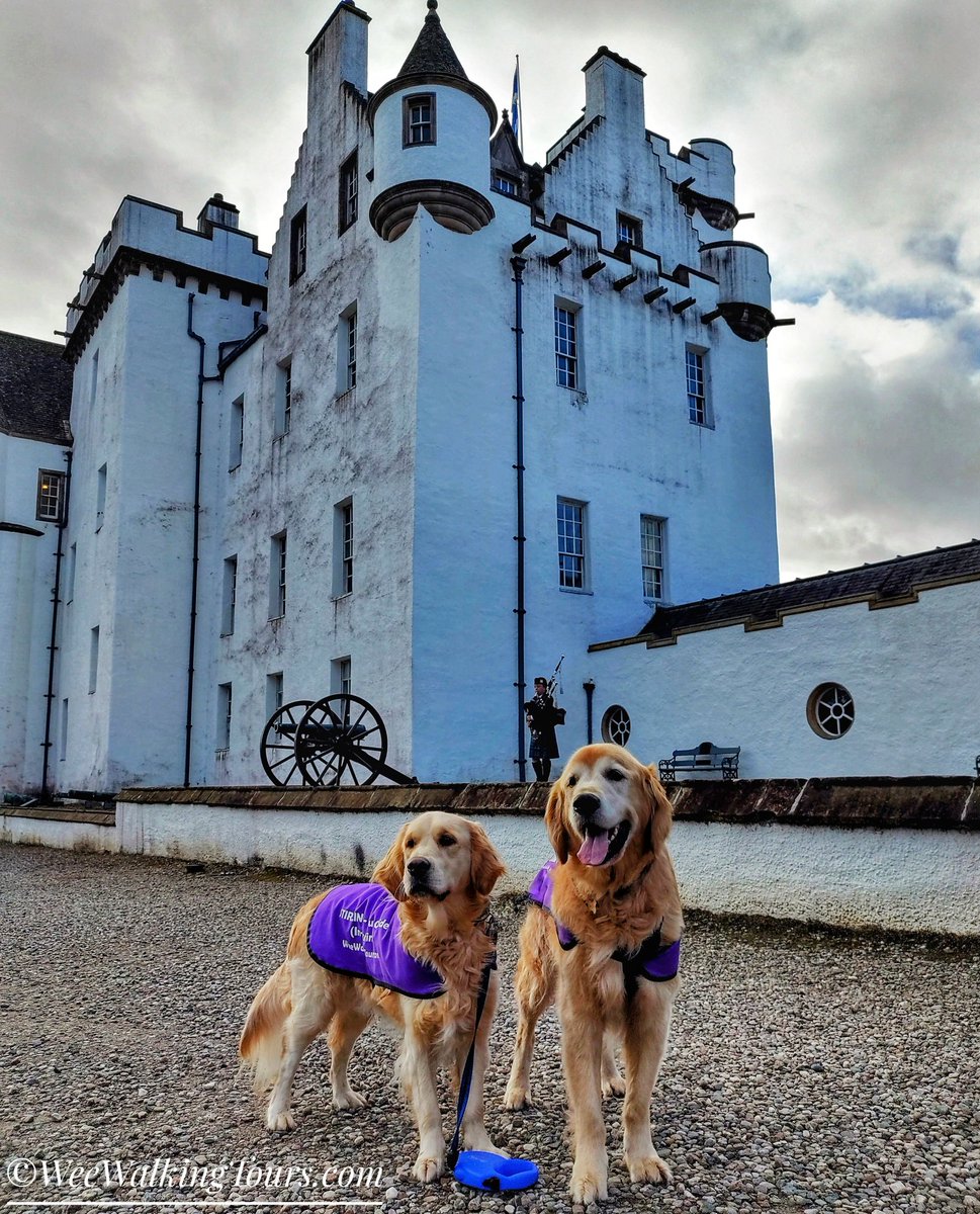 Happy brothers, Sawyer and Stirling, enjoying a beautiful rendition of 'Flower of Scotland', performed by the piper @Blair_Castle! Greetings from Scotland! 😃🐕🐾💙🏴󠁧󠁢󠁳󠁣󠁴󠁿 #BlairCastle #ScotlandIsCalling @VisitScotland