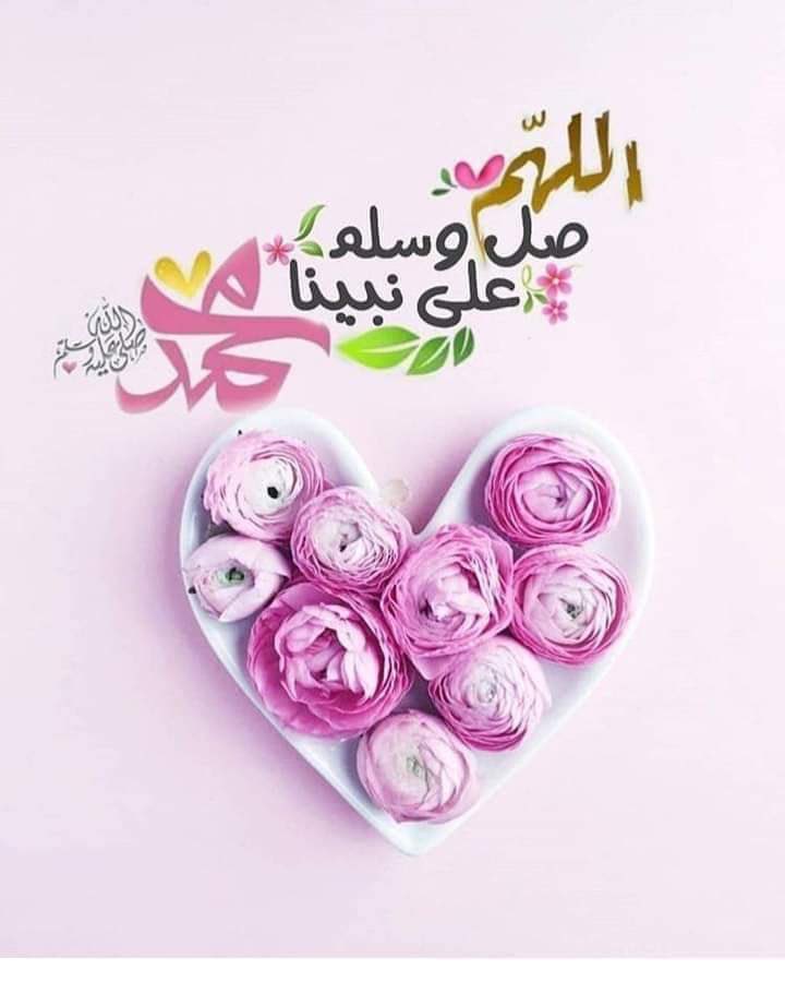 Ahmedaboshjl2's tweet photo. صلّ عليك الله يا بدر الدجى 
يا خير خلق الله دمتَ كريمَا
نرجوك ربي قربهُ في جنتك 
صلوا عليه وأحسنوا التسليمَا

#يوم_الجمعة https://t.co/t0ZfQTkYKo