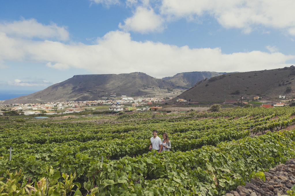 El próximo lunes 31 de octubre, Asamblea General Extraordinaria del Clúster de Enoturismo de Canarias en Bodegas El Lomo (Tegueste - Tenerife)

La Asamblea es el órgano supremo de Clúster, que integra a todos los socios y socias. 

#canariasdestinoenoturistico #canaryislands