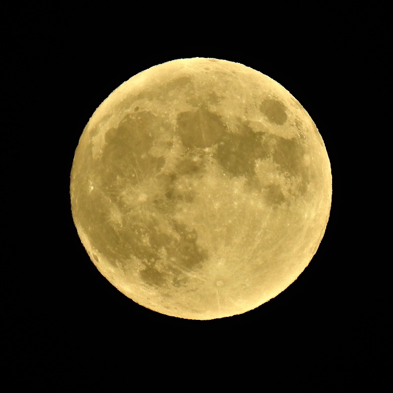 AstroAventura's tweet photo. Es algo que se enseña en primaria pero que por desconocimiento se pregunta muchísimas veces.

Así que una respuesta sencilla a una pregunta recurrente: ¿Por qué vemos siempre la misma cara de la Luna? 🌕👇