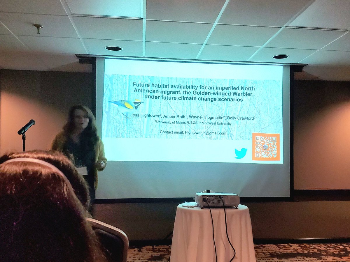 dyeany2's tweet photo. @HightowerJn shows at #AFO100 that ensemble climate models predict Golden-winged Warbler habitat availability shifts from US deciduous forest to Canadian conifer forest - but how quickly will trees respond? https://t.co/j6ylCdVLlf