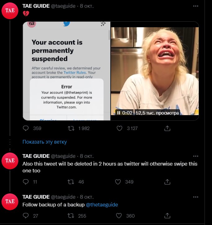 The_KSJ_Satan's tweet photo. Dear @twitter, kindly note that @thetaeprint is evading suspension with their newly created accounts @taeguide and @thetaeguide. They are encouraging haras/sment and are sending threats https://t.co/GDBl8EETDd