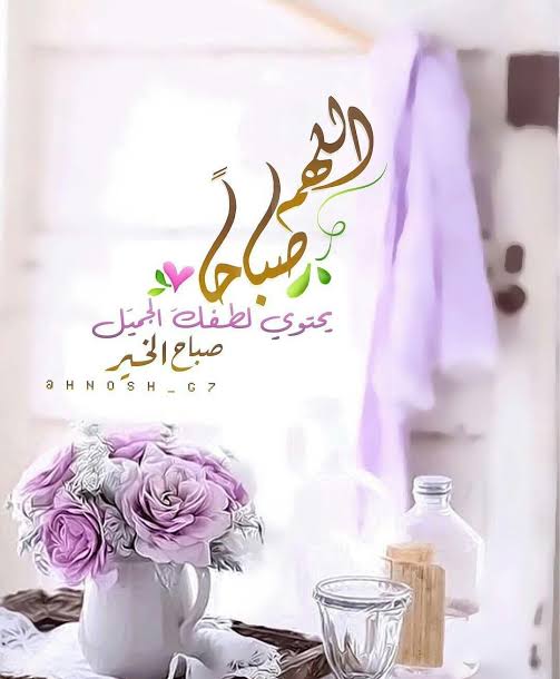 rosy mohamed tweet media