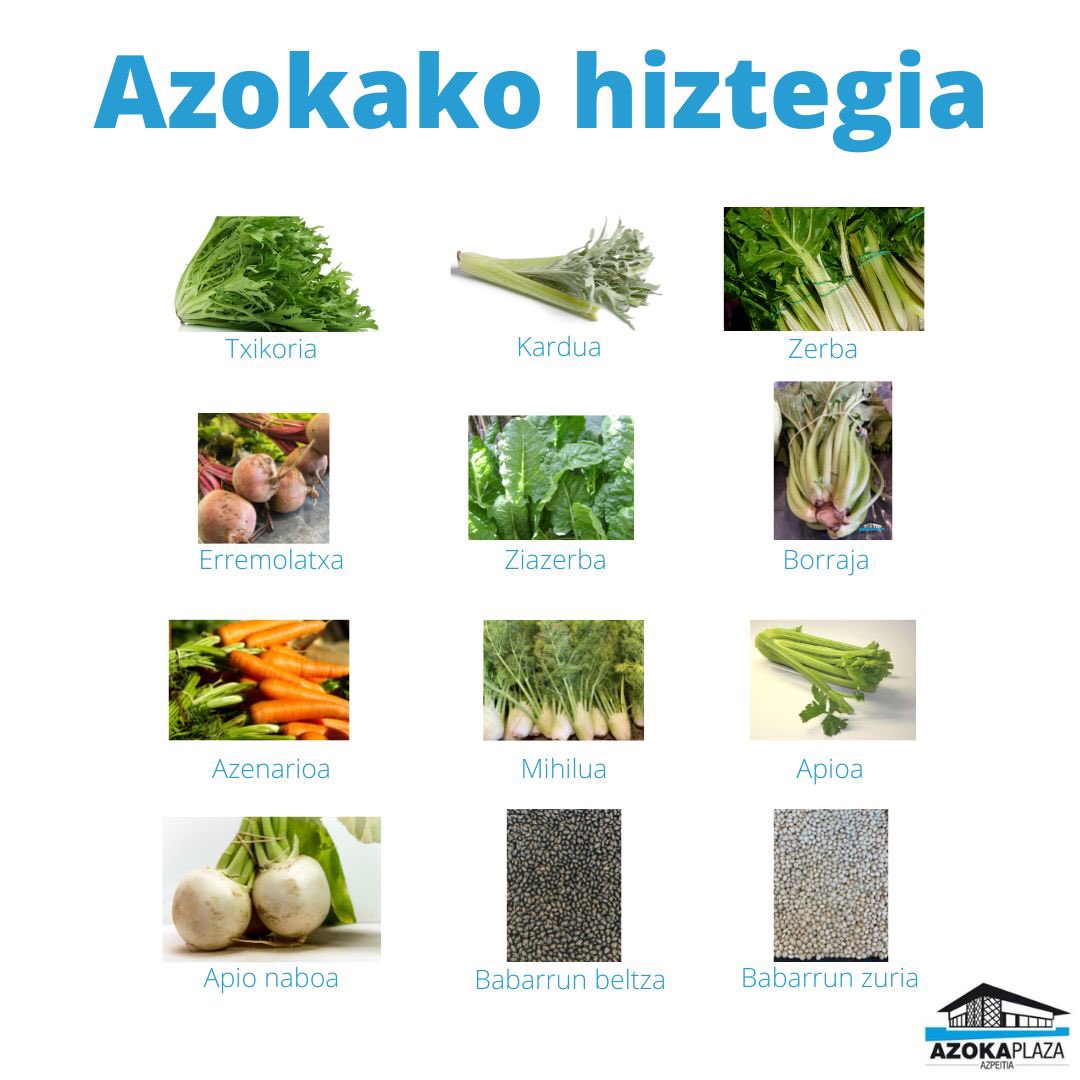 Azokako udazkeneko hiztegia (2)
#bertakoaelikatuz #bertakoaetagaraikoa #azoka #barazkietafrutak #hiztegia #Azpeitia #kontsumitubertakoaetagaraikoa