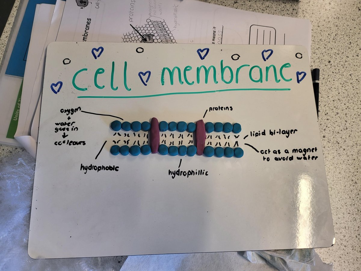 Clydeview Science tweet media