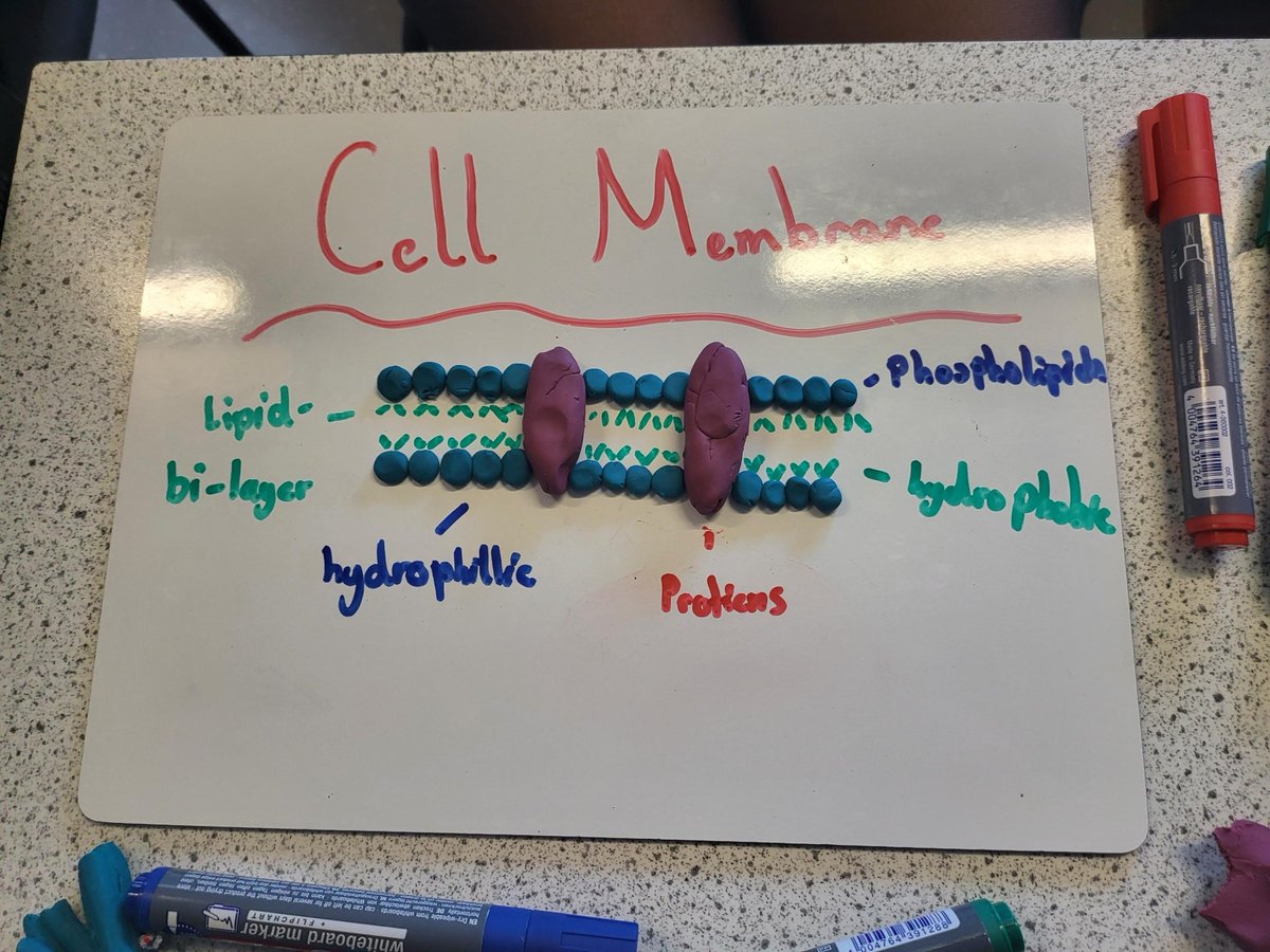 Clydeview Science tweet media