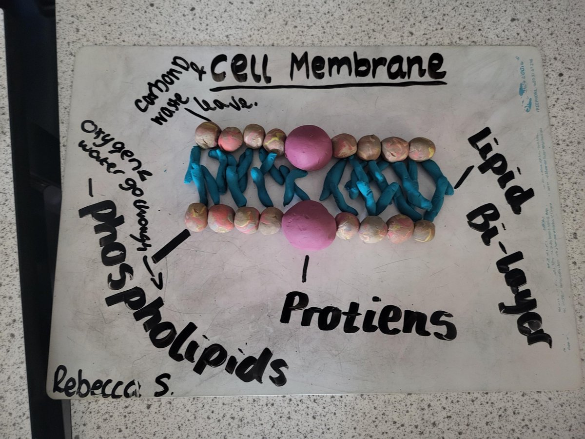 Clydeview Science tweet media