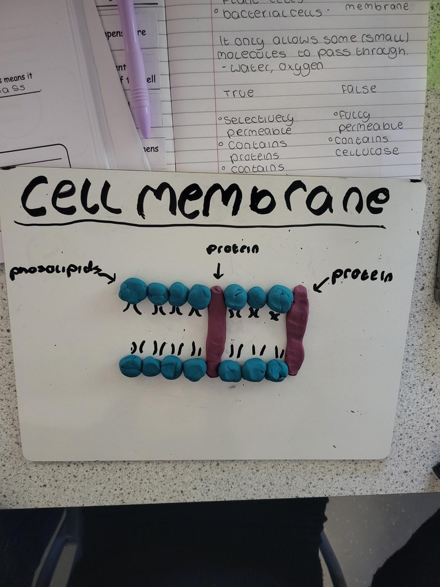 Clydeview Science tweet media