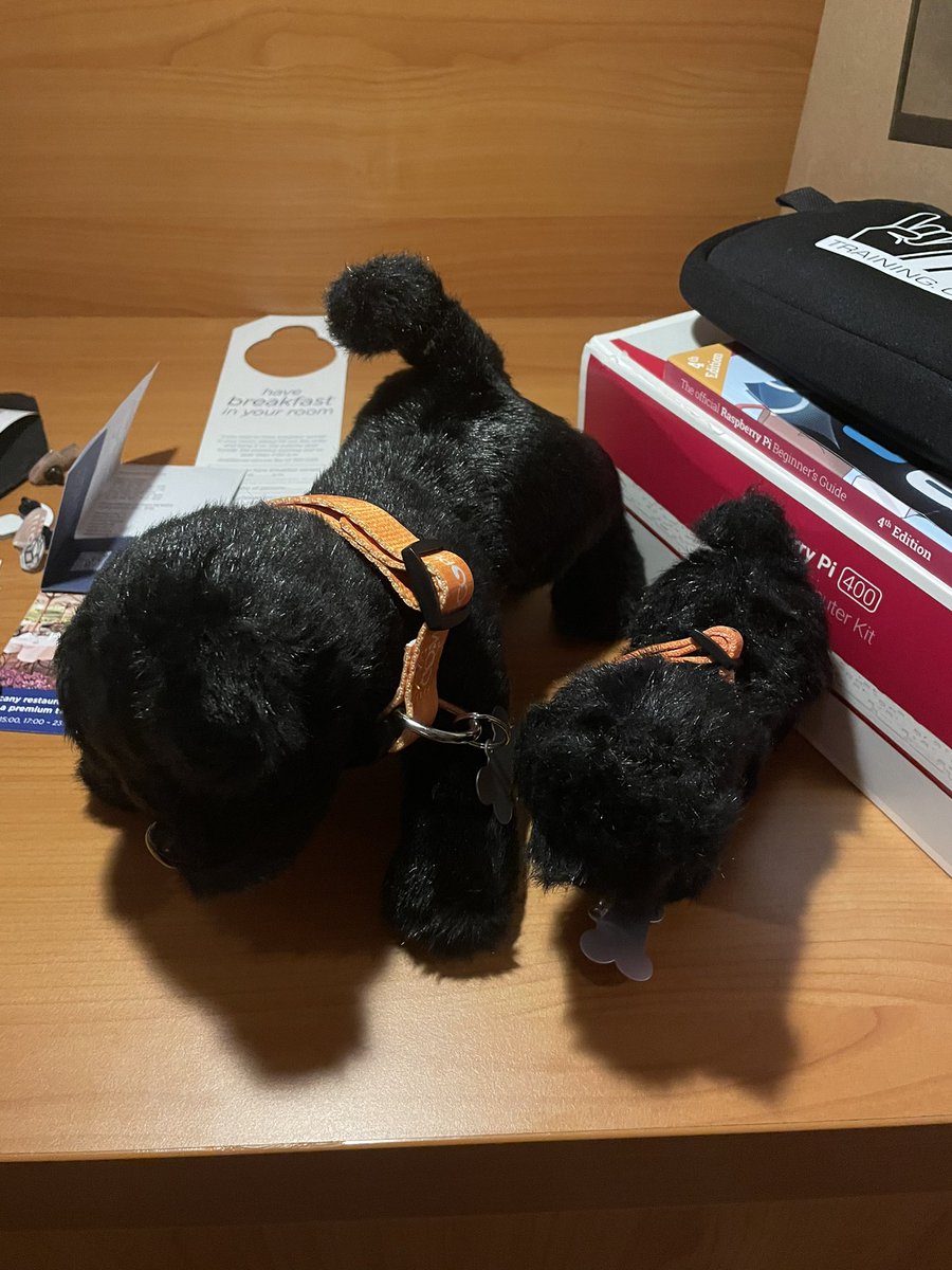 BartyK2's tweet photo. So, little puppy got a big brother now.. now they need names.. anybody got some ideas?! #WLPC @Ruckus_ES https://t.co/dnTZLIgf0y