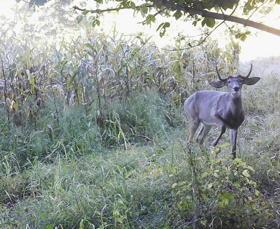Sportsman Channel tweet media