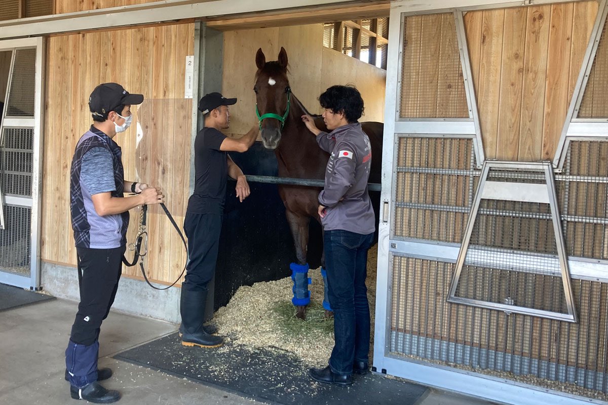 オープン勝ちの6歳牝馬
サヴォワールエメ
川端牧場で繁殖入り
父ダイワメジャー、母の父ピヴォタル
昨年オパールS優勝時の2着はナランフレグ!
