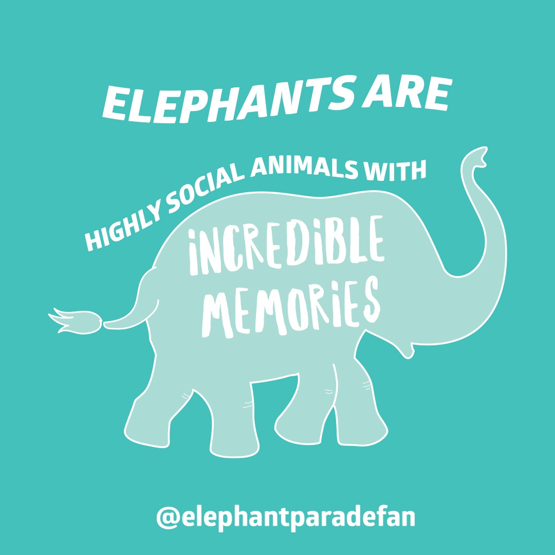 elephant_parade's tweet photo. Did you know...Elephants are Highly Social Animals with Incredible memories?!
#funfactsfriday
#elephantparadefan #funfactelephant #elephantfunfacts #facts #funfacts #elephantparade #elephants #elephant #saveelephants #elephantlove #elephantconservation #exhibition #art https://t.co/ksDOhjxq3X