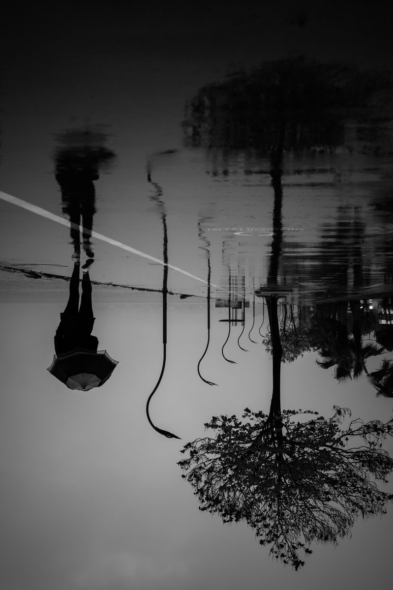 A quick reminder!

The last 3 pieces of the "Overthinker" edition are waiting for you! And then sold out🤩
0.035 ETH

Link to join my adventure👇🏼