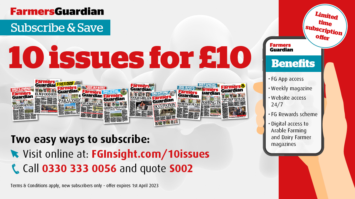 ABAB Calf Show tweet media