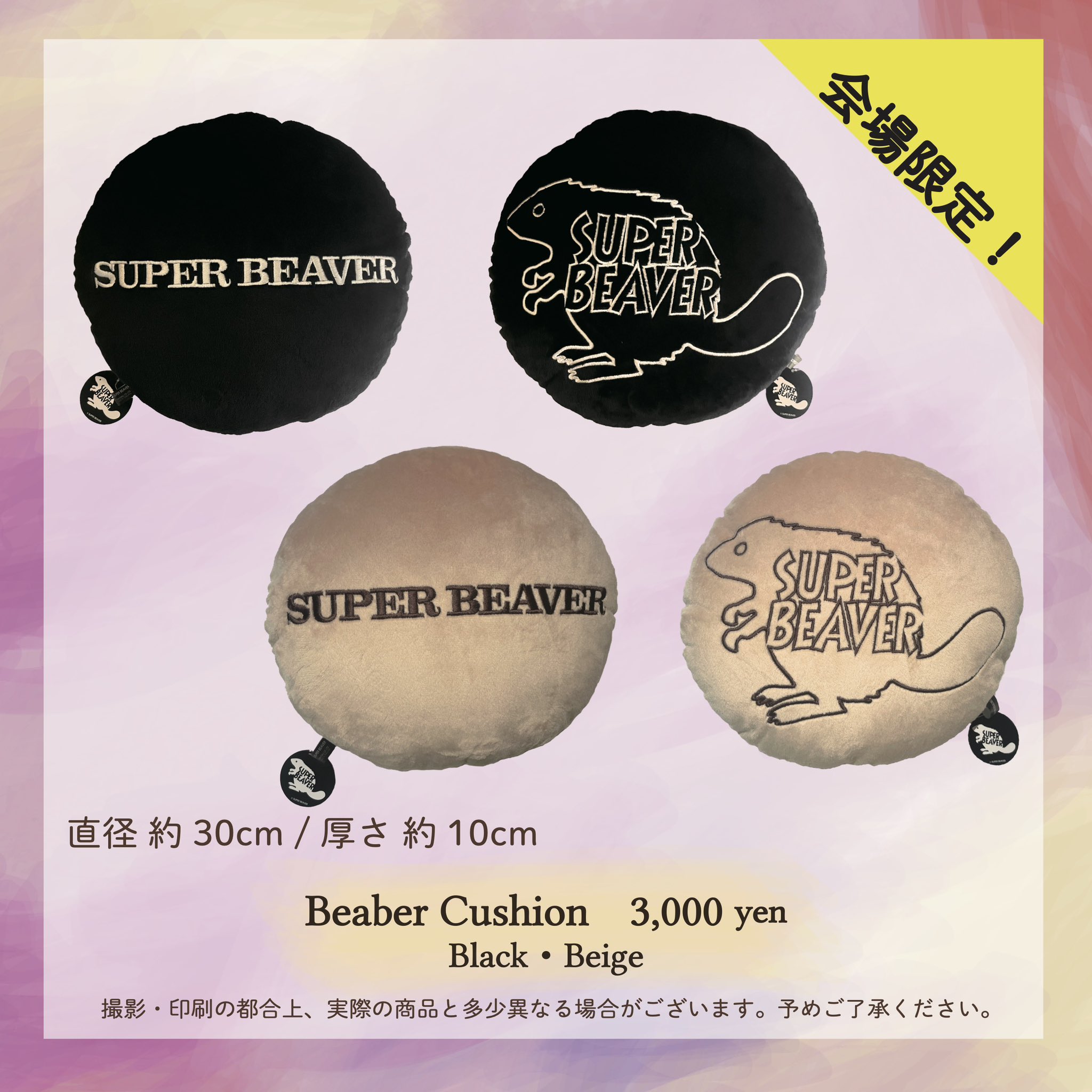 SUPER BEAVER クッション2個セット-