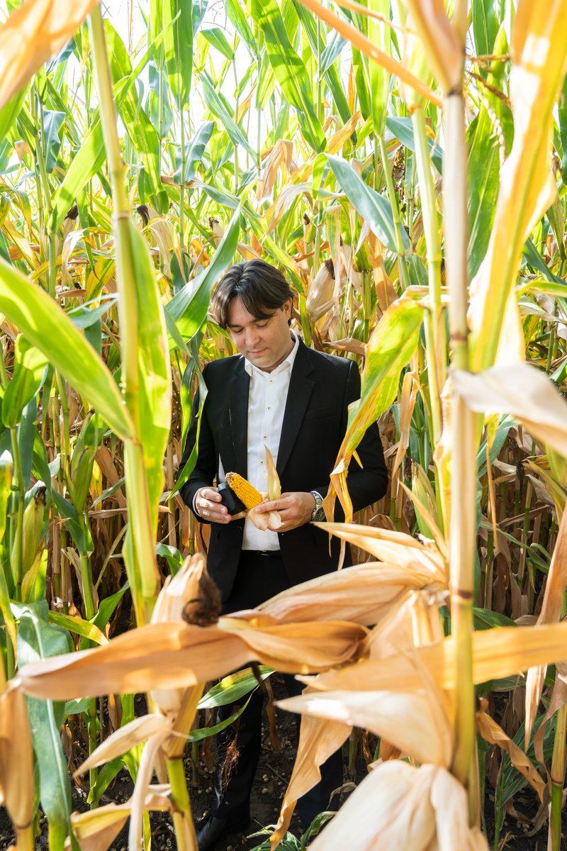 BRAINPORT EHV tweet media