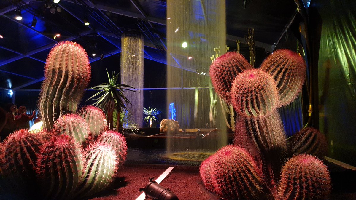 LaNinaCaracol's tweet photo. 🎵 Pour me défendre de leurs cactus
À mon tour j'ai mis des cactus
Dans mon lit, j'ai mis des cactus
Dans mon slip, j'ai mis des cactus
Aïe aïe aïe! Ouille! Aïe!🎶
#folieflore #mulhouse https://t.co/tDd3irCHSz