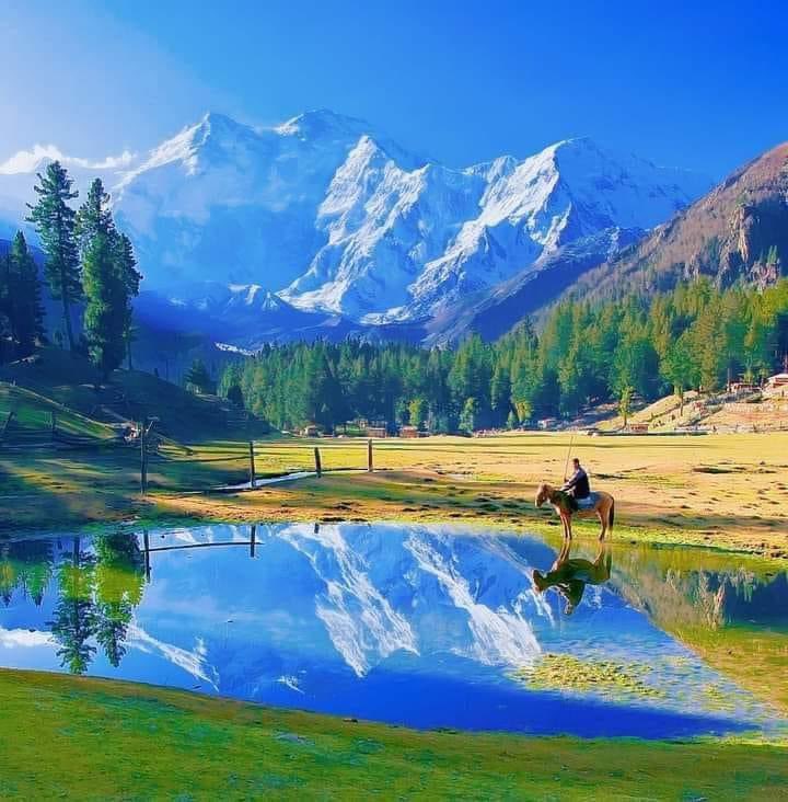 MHaroon28840076's tweet photo. Fairy meadows Gilgit Baltistan 
@GBinPictures_ 
@destinationpak 
@Tourism_In_PK https://t.co/pi4VFE1XfS