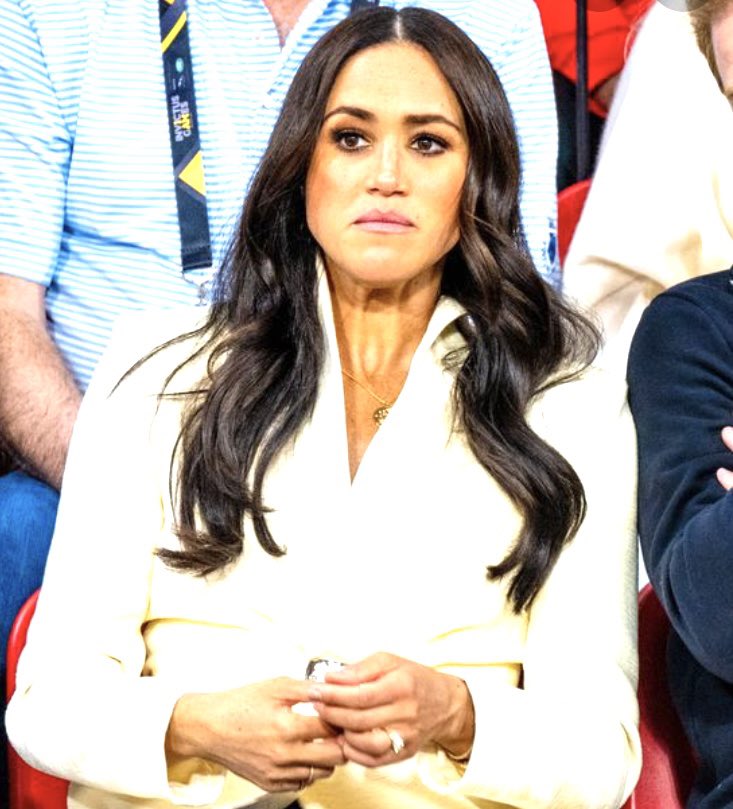 Ayramrosi ☘️ on Twitter "In the blue corner is Jordan Peterson, noted