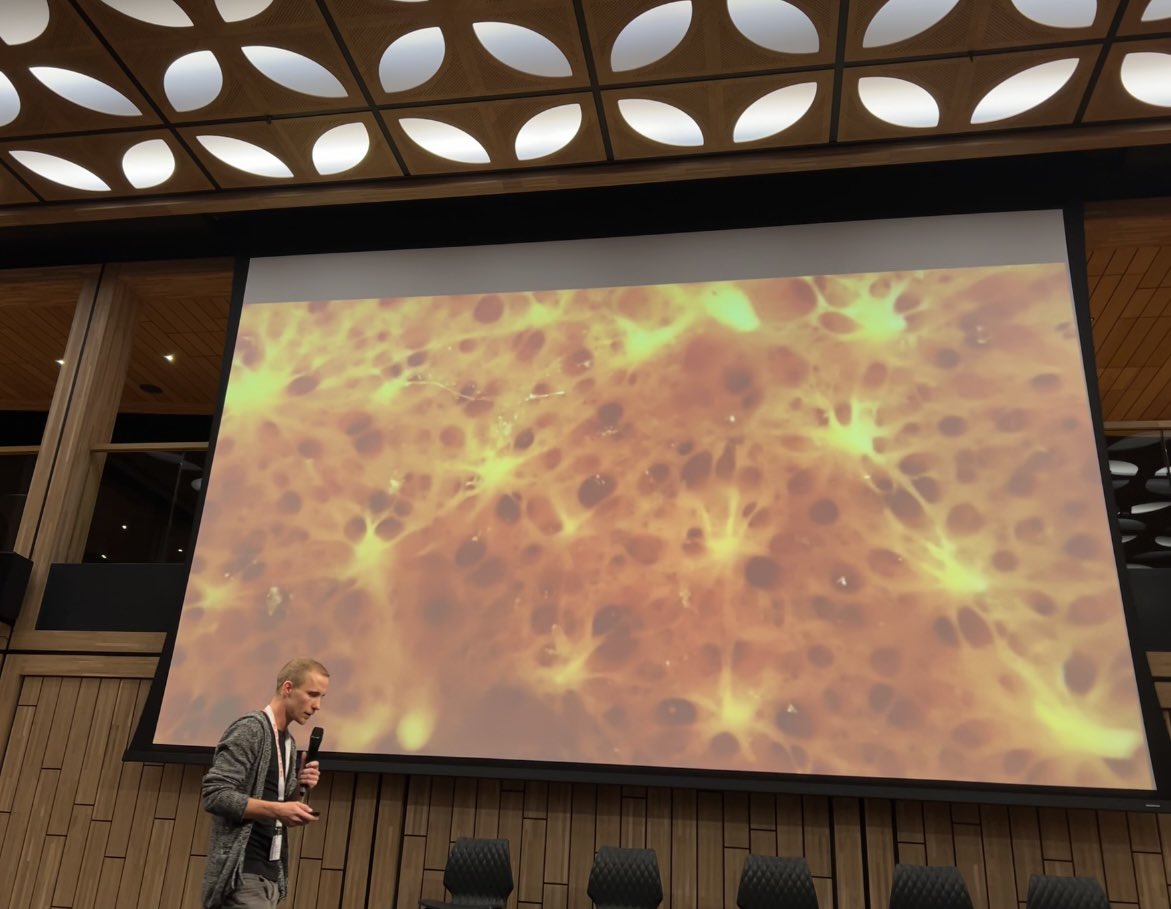 Sponge_2022 tweet media