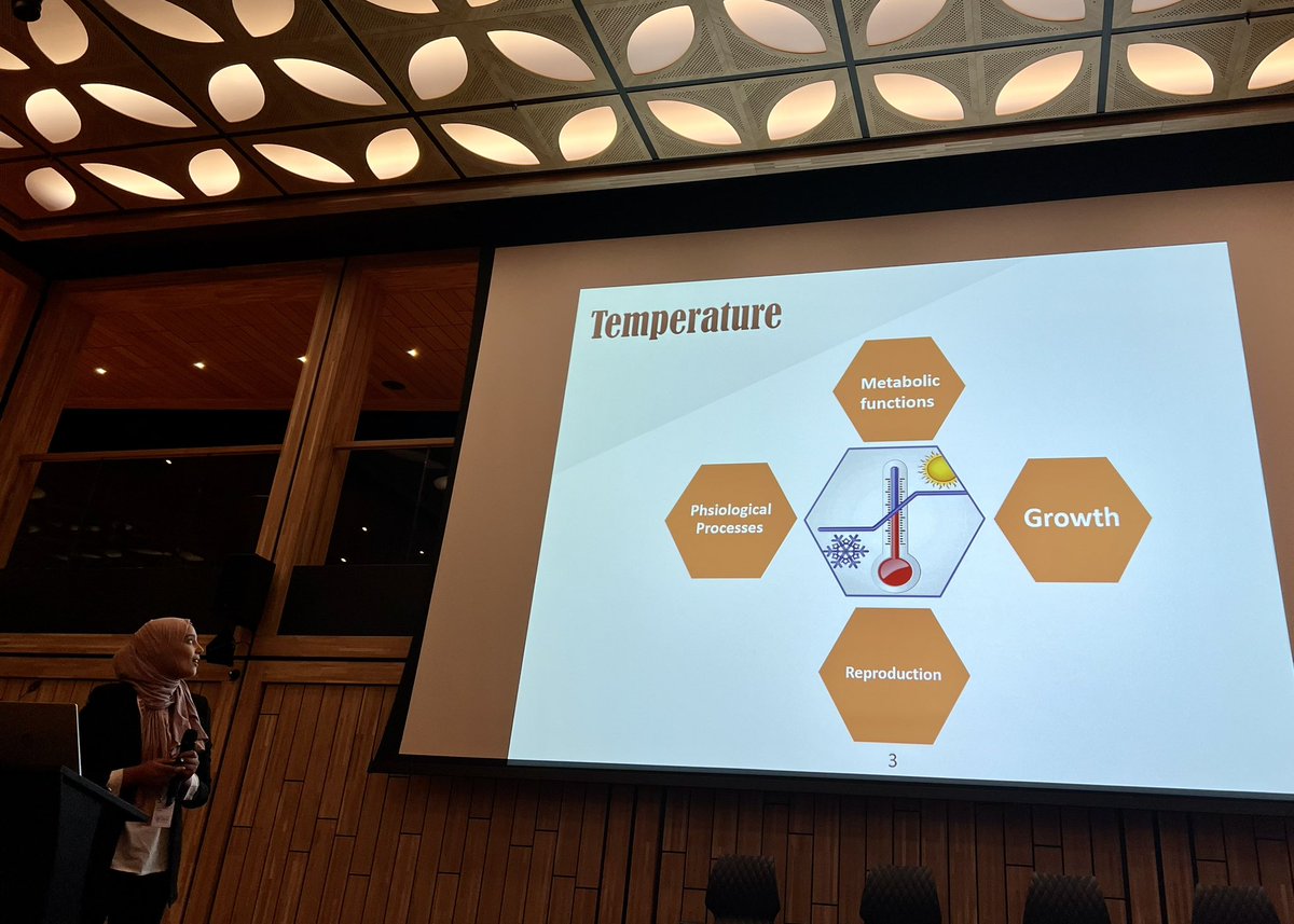 Sponge_2022 tweet media