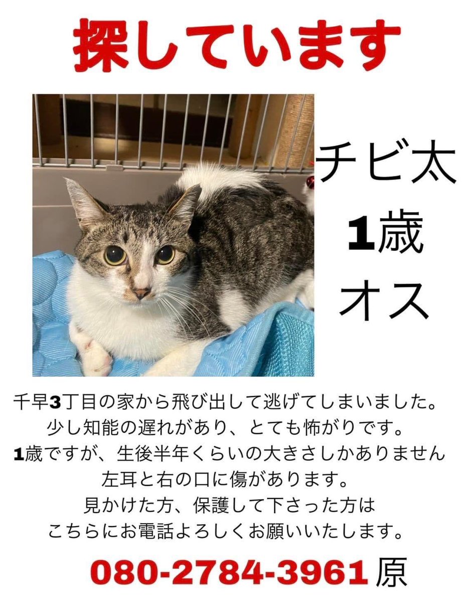 busaiki7890's tweet photo. https://t.co/RtO1m9Klt4