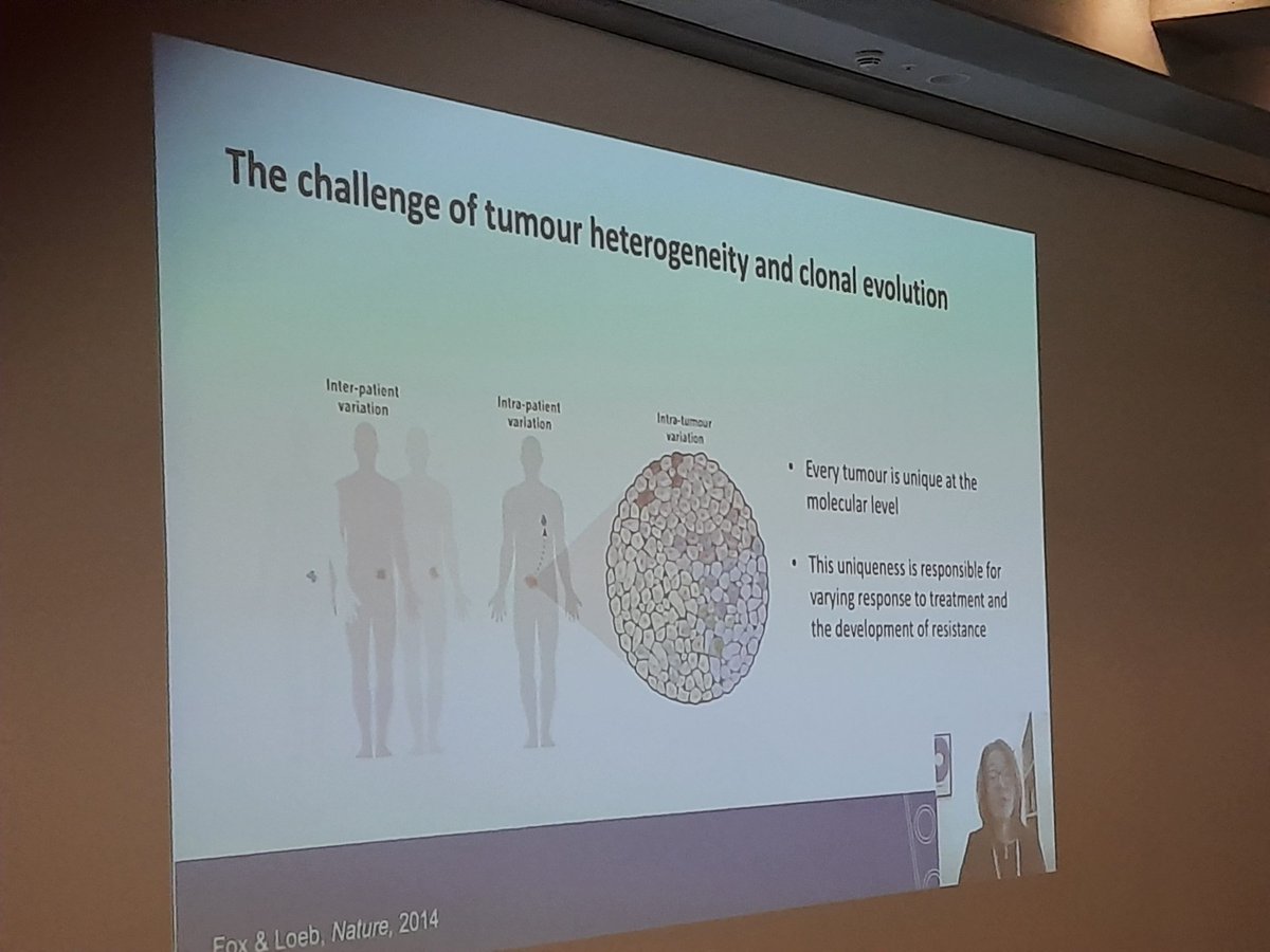 LabSadanandam's tweet photo. @ChrissieThirlw1 is giving a talk on Genomics in NET at the Ninth Annual Meeting of KHP Kent Hampshire hospitals NET Centre of Excellence. #netchatter @n_nets https://t.co/52vjrAjskg