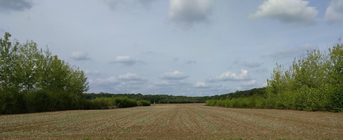 ErnstKursten's tweet photo. Neue Publikation: Stand und Perspektiven der #Agroforstwirtschaft in #Niedersachsen mit Übersichtstabelle: #Alleycroppping #KeylineDesign #Erosionsschutz #Freilandhühner #Nussbäume #Esskastanien #Waldgarten
https://t.co/dVzvPg9xP9 https://t.co/XDxs0ObNVl
