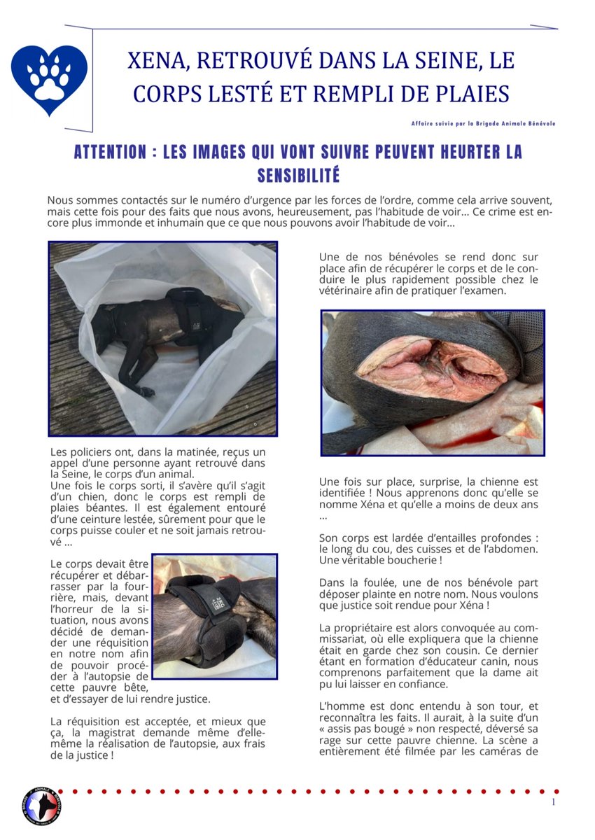 Brigade Animale Bénévole | BAB tweet media
