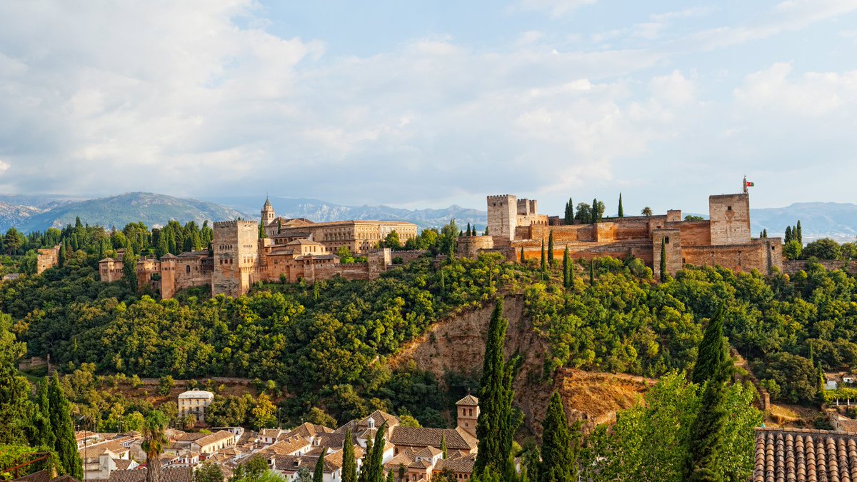 GO Voyages 🐸🌴 tweet media