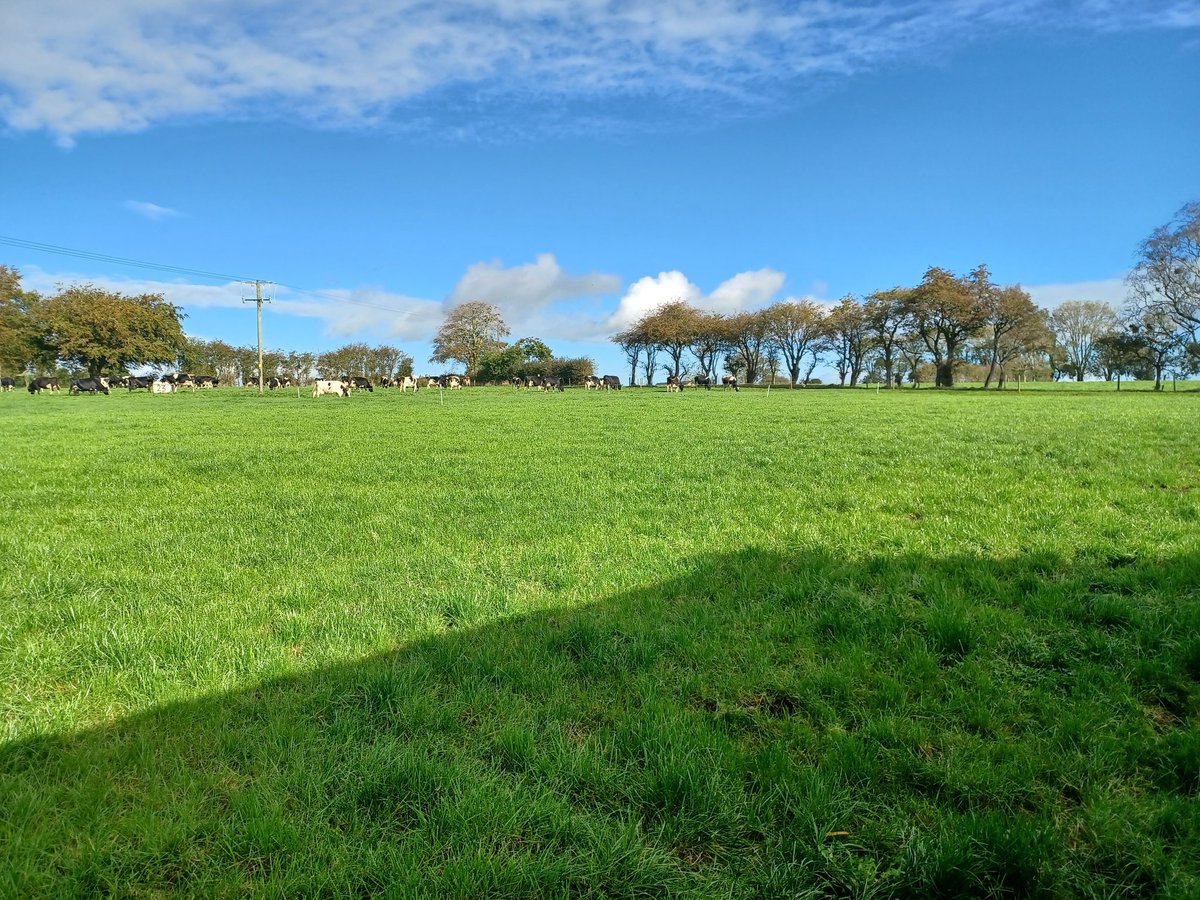 AurivoFarmProf's tweet photo. 'Austin and Yvonne's willingness to constantly improve is a huge part of their sucess'- Raymond Barlow, @AurivoCo_op chairman. @NDC_ie @KerrygoldIRL @ConnachtGold https://t.co/tzz5q8gglG