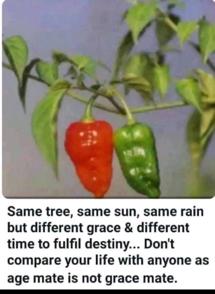 omopariola Busuyi tweet media