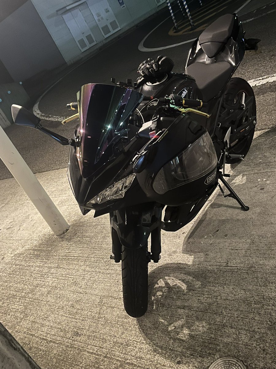 直近の写真を放流