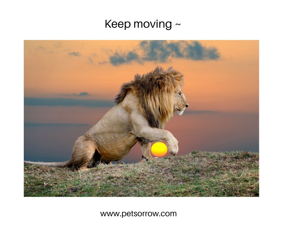 You've survived 100% of your worst days so far. 

Keep going 🦋

#petlossgrief #healingsolutionsforpetloss #griefandloss