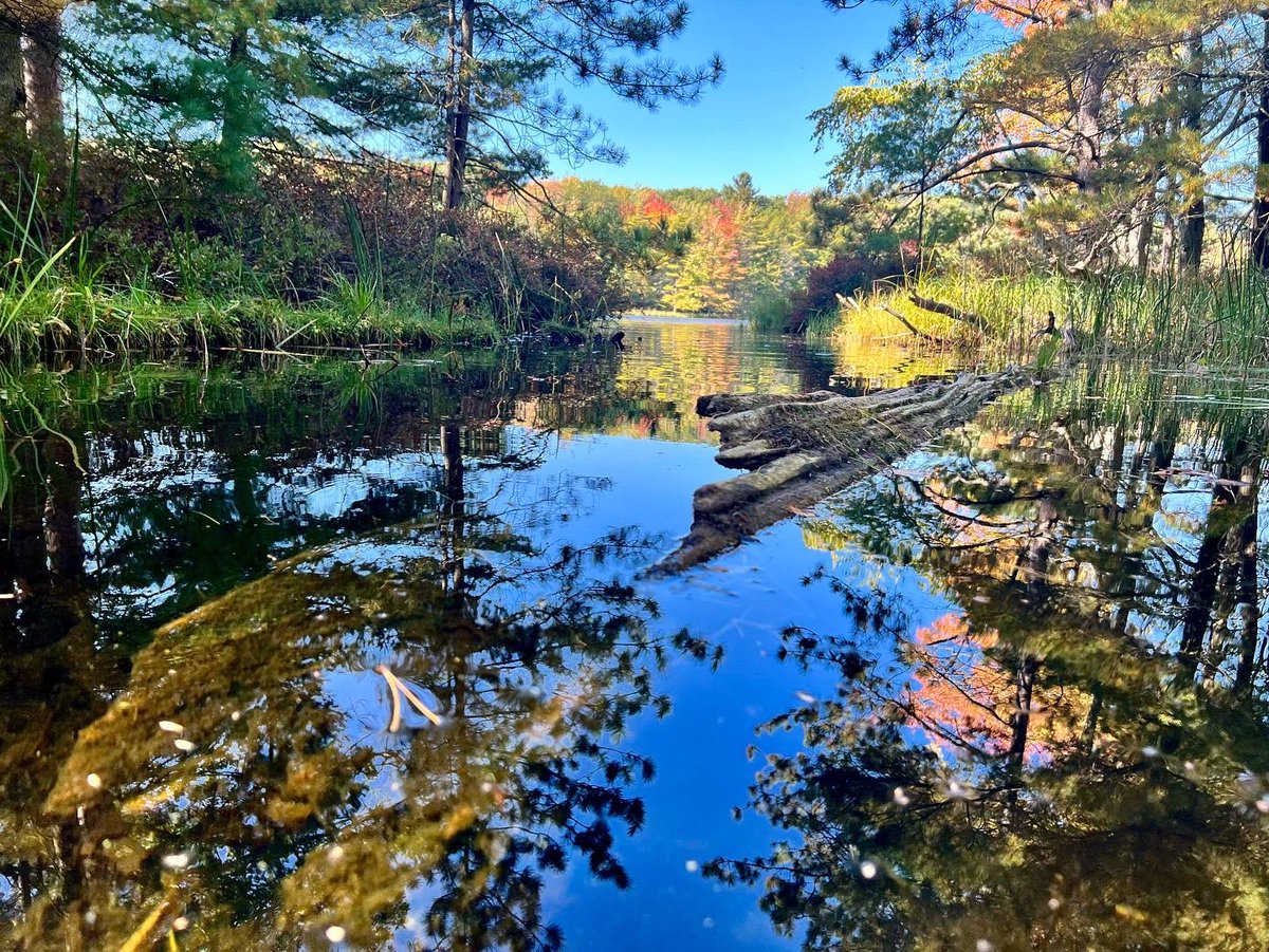 exvanjellycal's tweet photo. As we arise with the sun in our eyes, catch a break from the dark Navigate, come find a way, our differences be damned
So much space between us in the distance of our hands.
#northernmichigan #michiganstateparks #eddylinekayaks #kayaking #paddling #NatureBeauty #nature #michigan https://t.co/7sa5vWxtlm