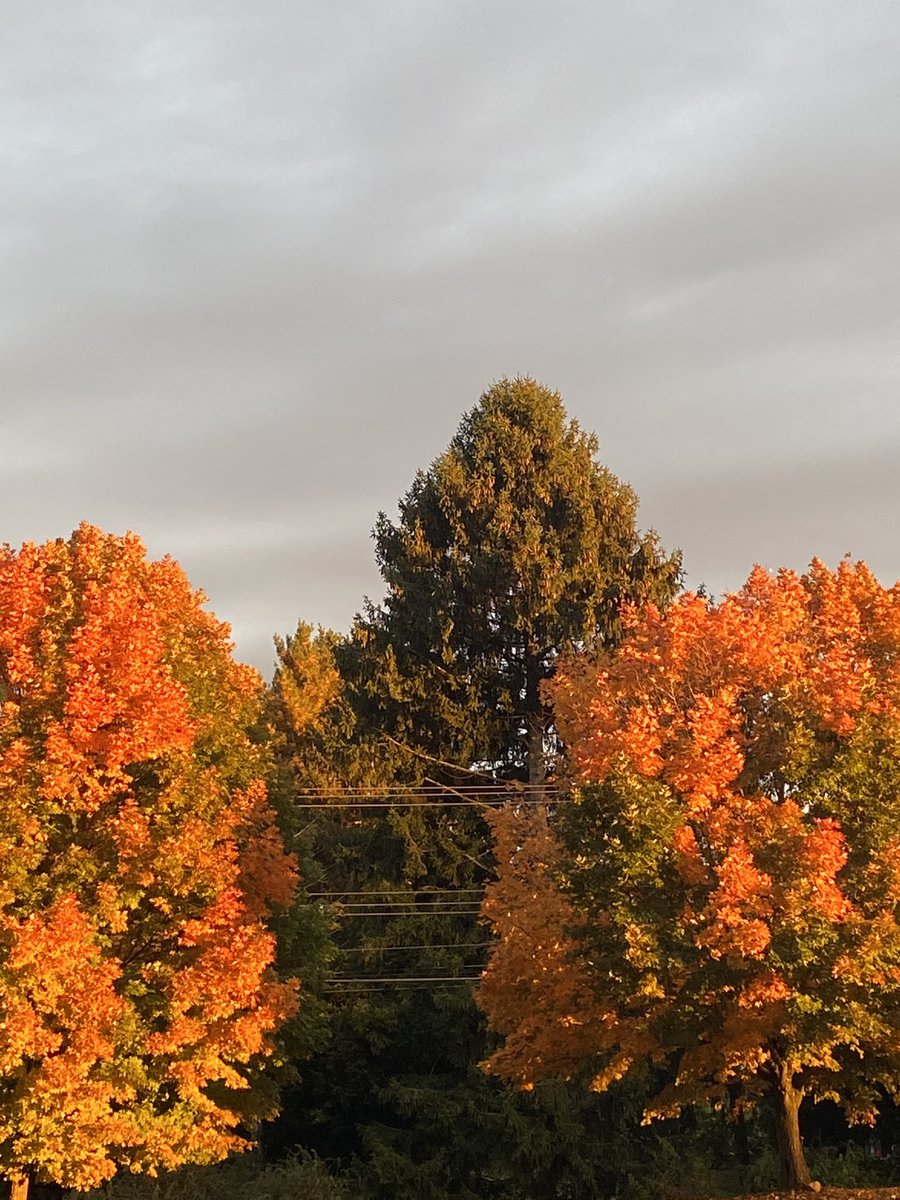 Kelly Patterson tweet media