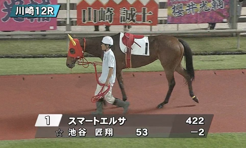 スマートエルサ 消し馬。
パドックは大事‼️
最終 8-3-10✨ 