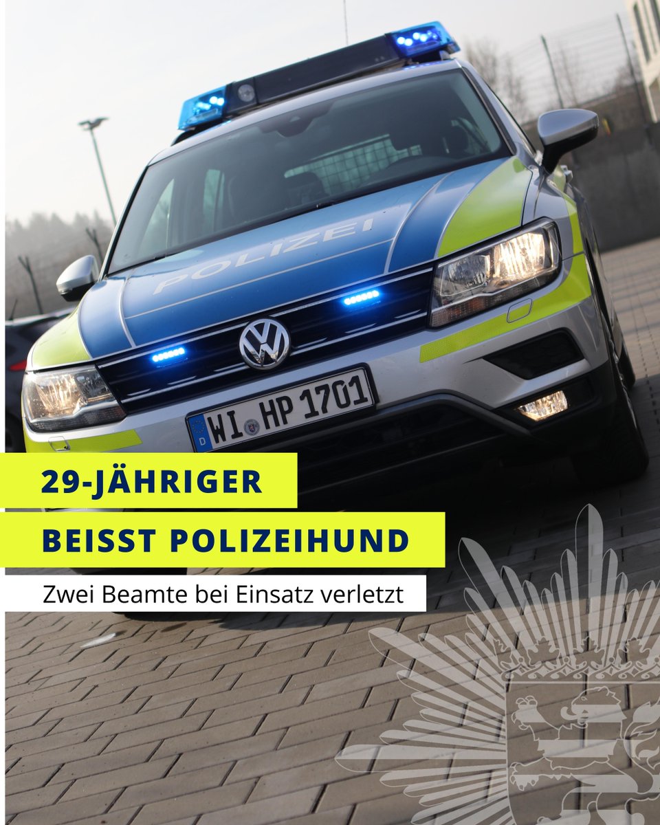 Ein Streit zwischen zwei Männern und einer Frau hat in der Nacht zum Freitag zu einem Polizeieinsatz 🚓 in #GinsheimGustavsburg geführt!

In diesem Zusammenhang wurde ein #Diensthund gebissen und auch zwei Beamte verletzt.

Mehr hier ⤵️
presseportal.de/blaulicht/pm/4…
