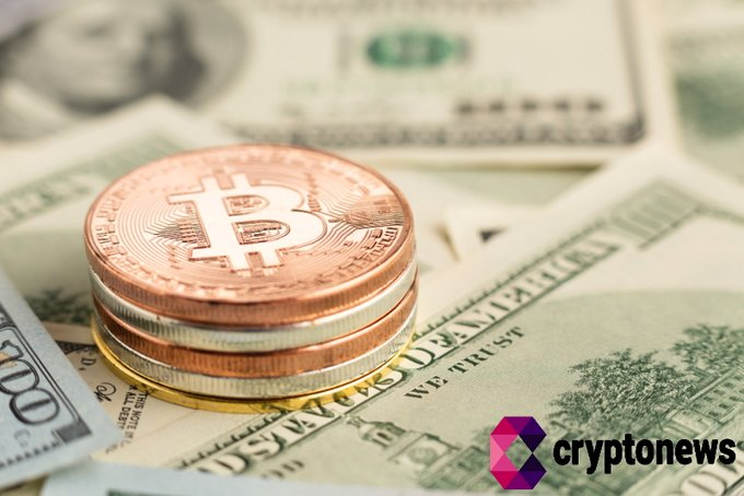CoinexDislay tweet picture