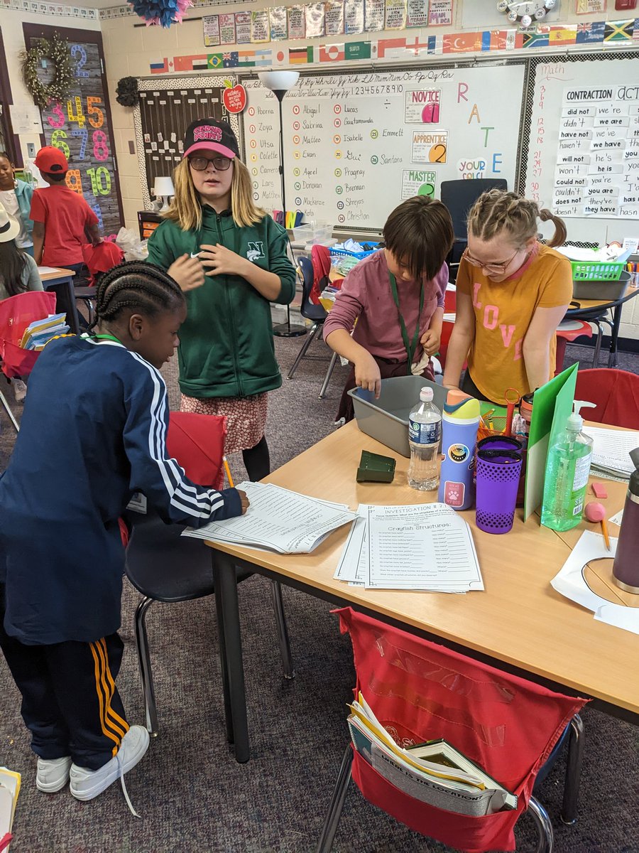 PrasadHeintz's tweet photo. Exploring and observing the structures and behaviors of crayfish! @NoviVillageOaks #novipride #voheart https://t.co/Fm5MVx30pN